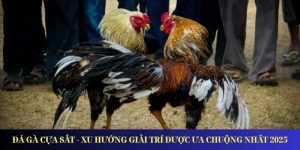 da ga cua sat